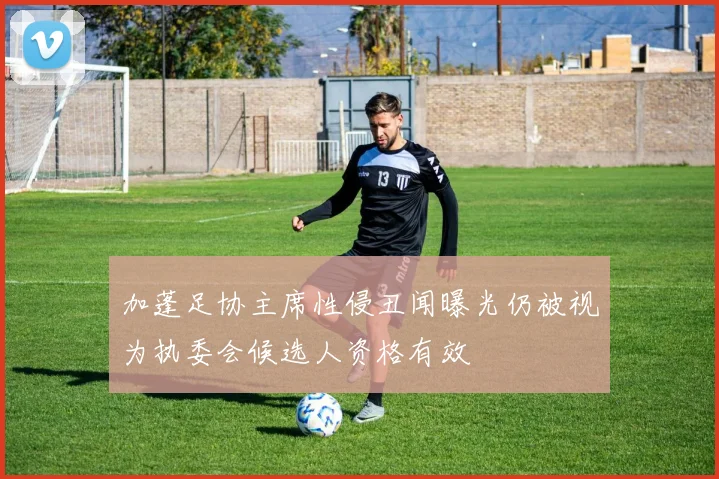 加蓬足协主席性侵丑闻曝光仍被视为执委会候选人资格有效