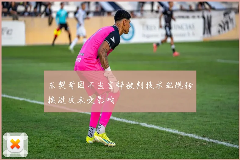 东契奇因不当言辞被判技术犯规转换进攻未受影响