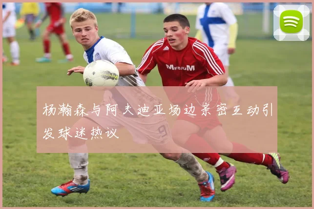 杨瀚森与阿夫迪亚场边亲密互动引发球迷热议