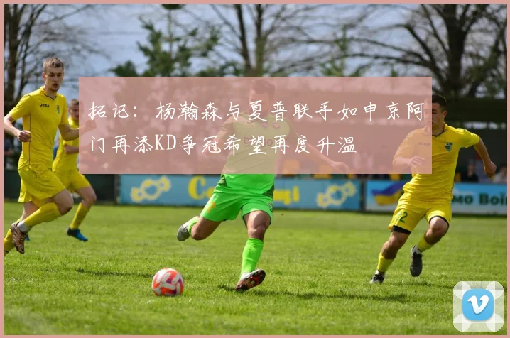 拓记：杨瀚森与夏普联手如申京阿门再添KD争冠希望再度升温