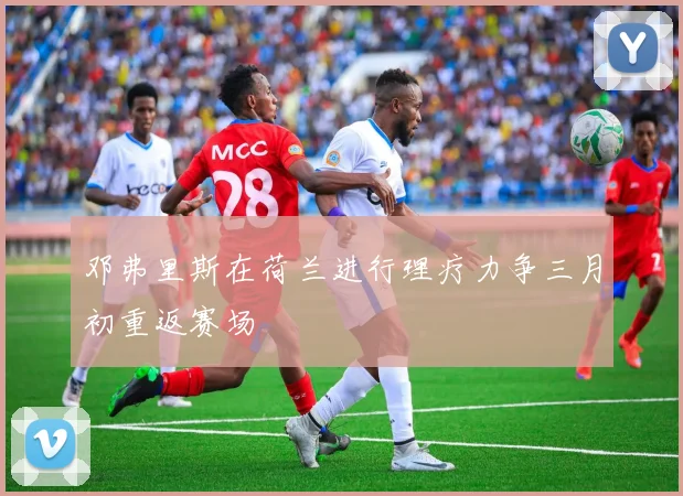 邓弗里斯在荷兰进行理疗力争三月初重返赛场